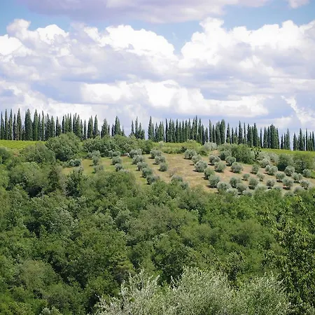 Bellavista